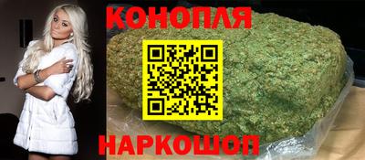 дмт Аргун
