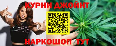 дмт Аргун