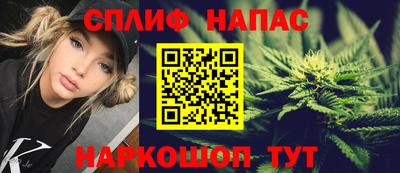 дмт Аргун