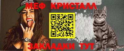 дмт Аргун