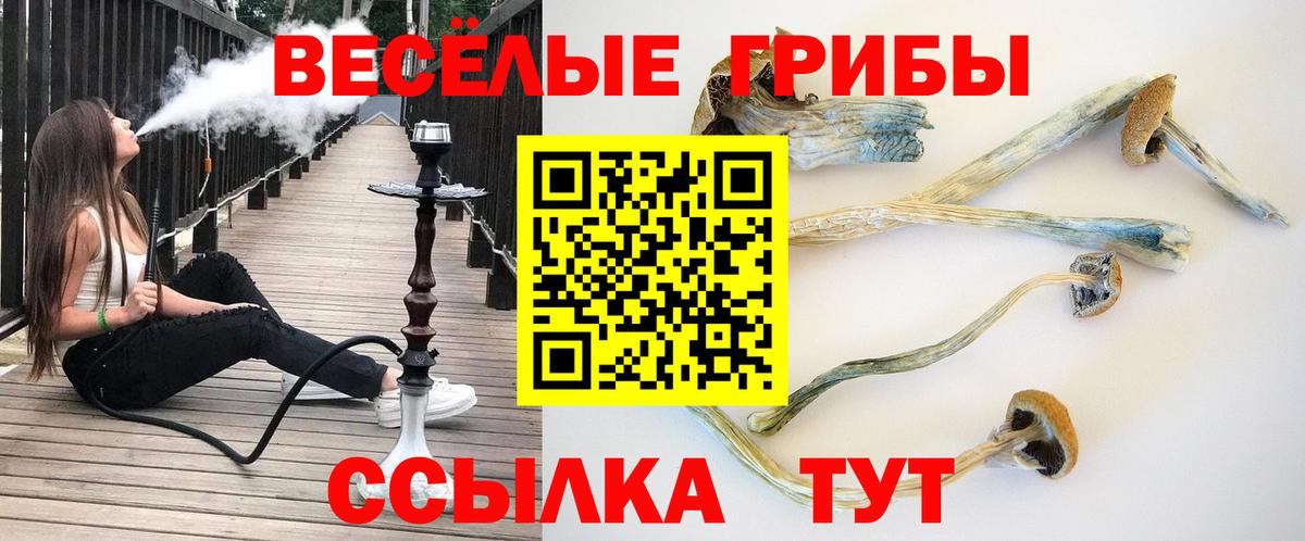 Галлюциногенные грибы мицелий Выкса